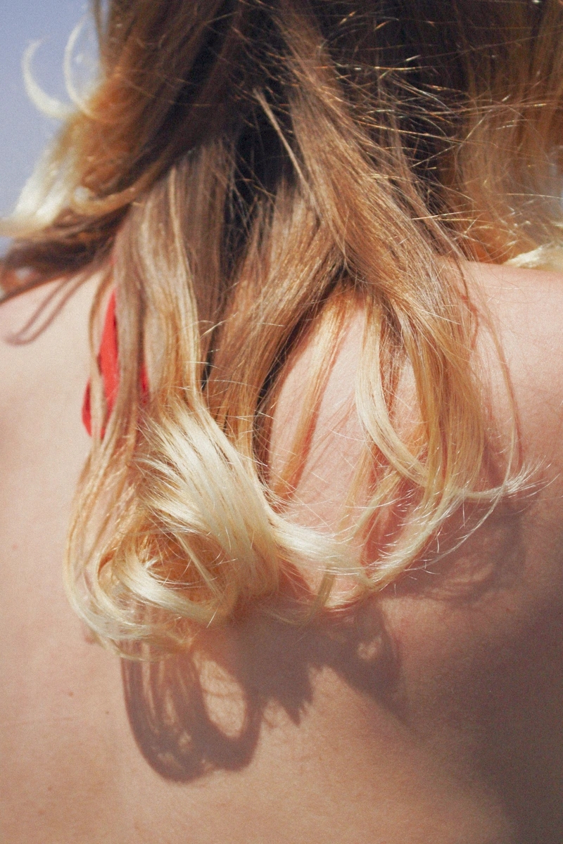 Summer day photograph